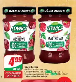 Dino Dżem Łowicz oferta