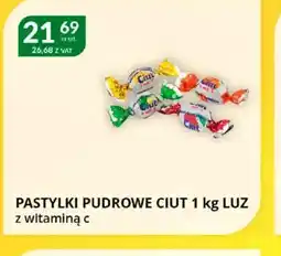 Eurocash Cash & Carry Pastylki pudrowe Ciut oferta