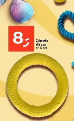 Dealz Zabawka dla psa oferta