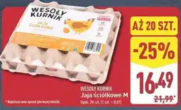 ALDI Jaja kl. m Wesoły Kurnik oferta