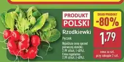 ALDI Rzodkiew polska oferta