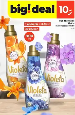 Dealz Płyn do płukania lagoon Violeta oferta