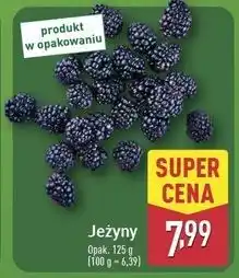 ALDI Jeżyny oferta