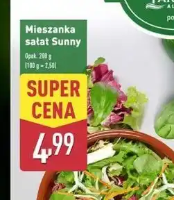 ALDI Mix sałatkowy sunny Fit & Easy oferta