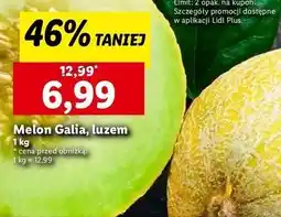 Lidl Melon galia oferta