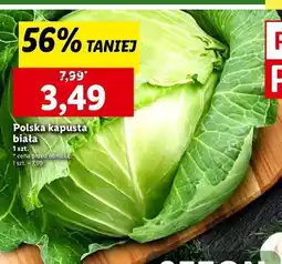 Lidl Kapusta biała polska oferta