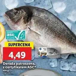 Lidl Dorada cała oferta