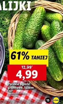 Lidl Ogórek gruntowy oferta