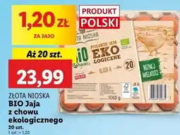 Lidl Jaja kl. a Złota Nioska oferta