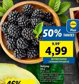 Lidl Jeżyny oferta
