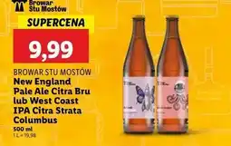 Lidl Piwo Browar Stu Mostów West Coast Ipa Citra Strata Columbus oferta