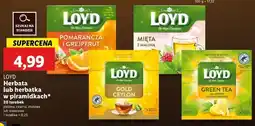 Lidl Herbata green tea Loyd Tea oferta
