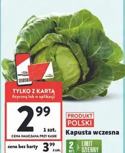 Intermarche Kapusta wczesna polska oferta