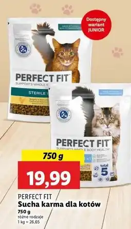 Lidl Karma dla kota junior oferta