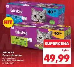 Kaufland Karma dla kota mix smaków Whiskas oferta
