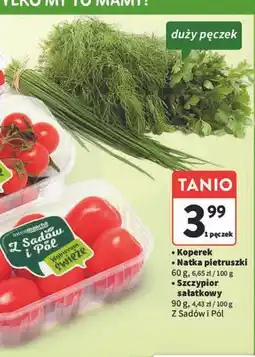 Intermarche Szczypiorek Z Sadów I Pól oferta