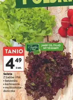 Intermarche Sałata multicolor Z Sadów I Pól oferta