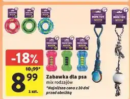 Intermarche Zabawka dla psa oferta