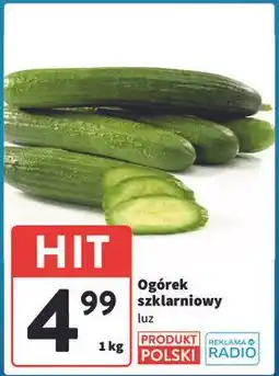 Intermarche Ogórek szklarniowy polska oferta