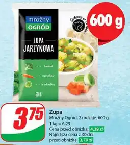 Dino Zupa jarzynowa Mroźny Ogród oferta