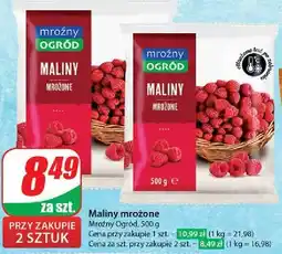 Dino Maliny Mroźny Ogród oferta