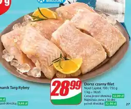 Dino Dorsz czarny filet bez skóry Nord Capital oferta