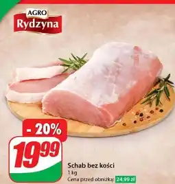 Dino Schab bez kości Agro Rydzyna oferta