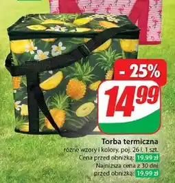 Dino Torba termiczna 26 l oferta