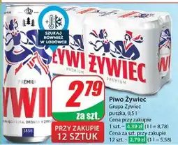 Dino Piwo Żywiec Jasne Pełne oferta