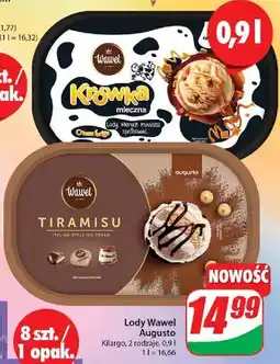 Dino Lody wawel tiramisu Augusto oferta