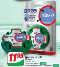 Dino Mrówex Bros oferta