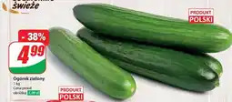 Dino Ogórek zielony polska oferta