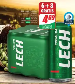Dino Piwo Lech Premium oferta