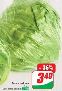 Dino Sałata lodowa oferta