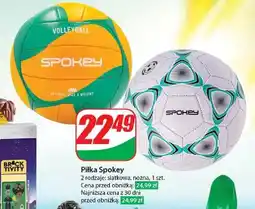 Dino Piłka nożna Spokey oferta