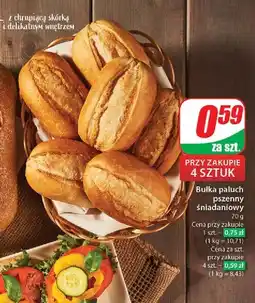 Dino Bułka paluch pszenny oferta
