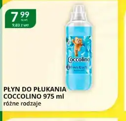 Eurocash Cash & Carry Płyn do płukania Coccolino oferta