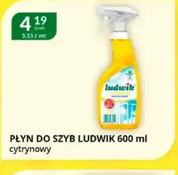 Eurocash Cash & Carry Płyn do szyb Ludwik oferta