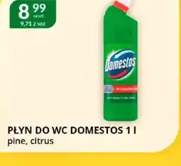 Eurocash Cash & Carry Płyn do WC Domestos oferta