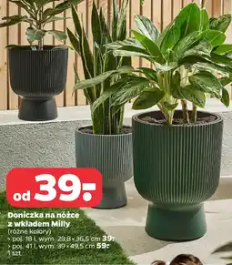 Netto Doniczka na nóżce z wkładem Milly oferta