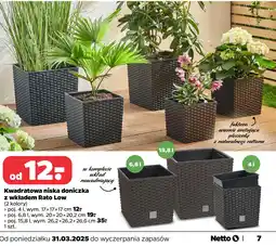 Netto Kwadratowa niska doniczka z wkładem Rato Low oferta