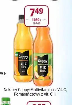 Społem Nektary Cappy oferta