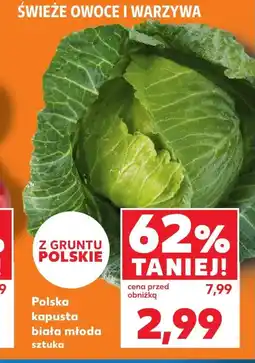 Kaufland Kapusta młoda oferta