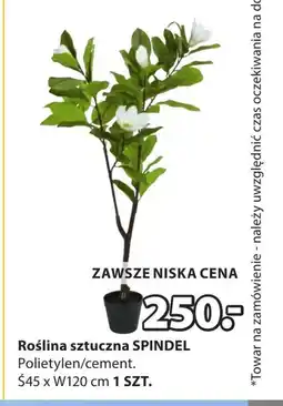 JYSK Sztuczna roślina oferta