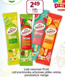 Społem Lody owocowe Hortex oferta