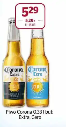 Społem Piwo Corona oferta
