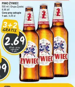 Słoneczko Piwo Zywiec oferta
