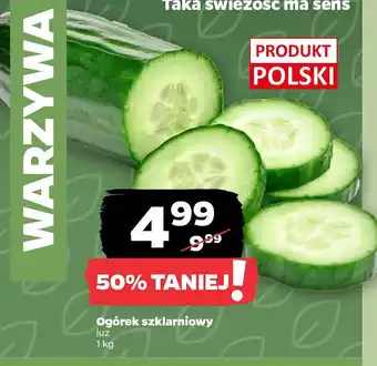 Netto Ogórek szklarniowy oferta