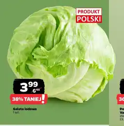 Netto Sałata lodowa oferta