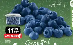 Netto Borówka oferta